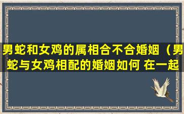 男蛇和女鸡的属相合不合婚姻（男蛇与女鸡相配的婚姻如何 在一起好吗）